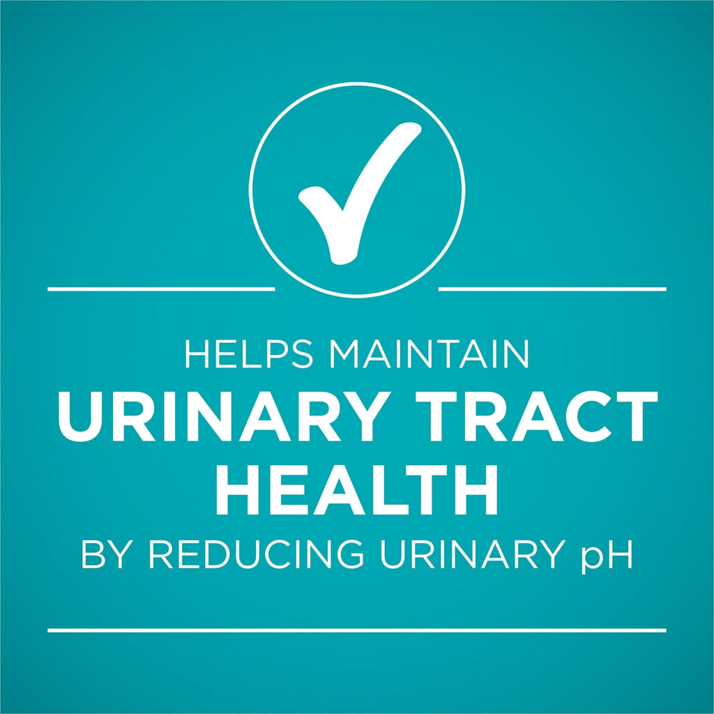Purina ONE Urinary Tract Health Beef & Liver Natural Pate Wet Cat Food 3 oz Can