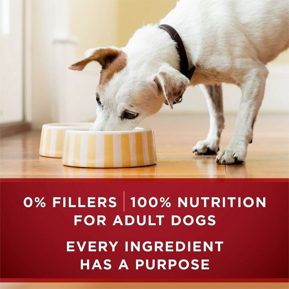 Purina One True Instinct Wet Dog Food for Adult Dogs, Grain-Free, 13 oz Cans (12 Pack)
