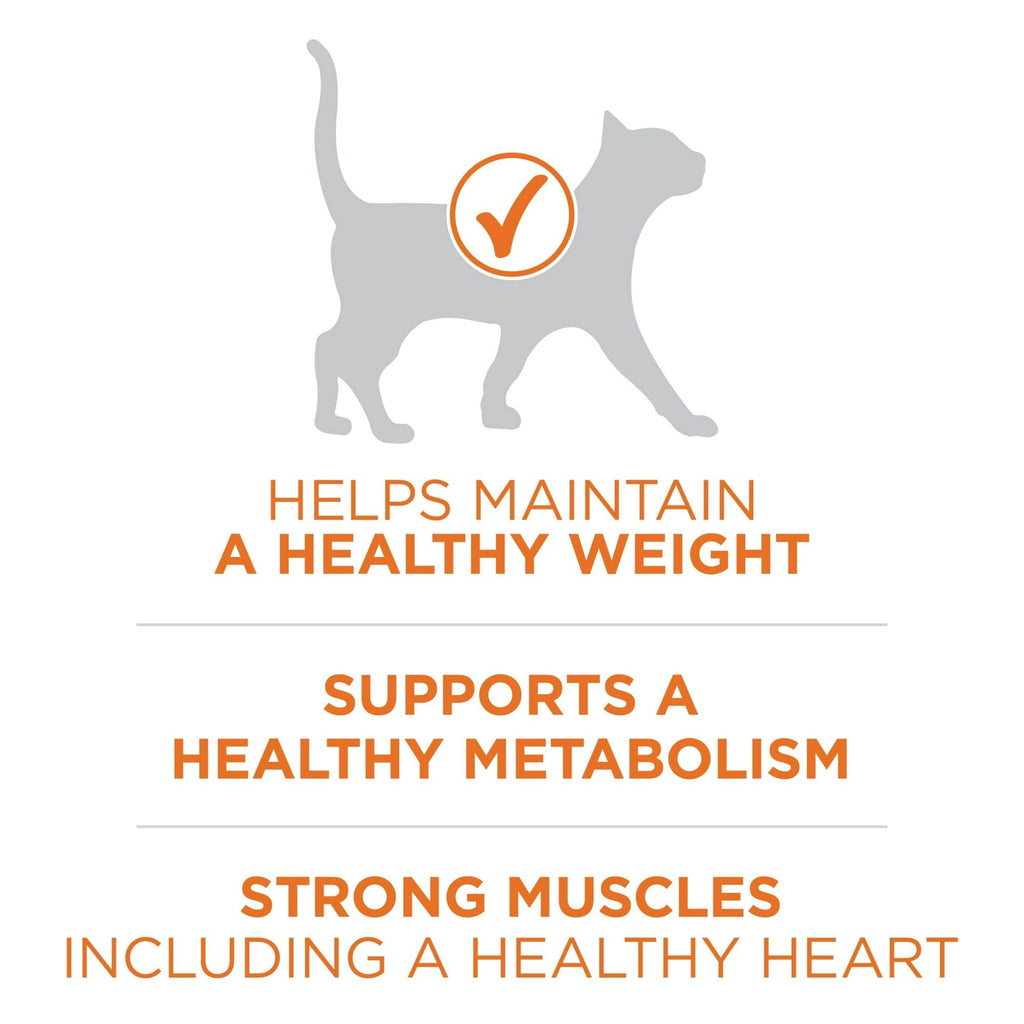 Purina One +Plus Ideal Weight High Protein Dry Cat Food Turkey, 16 lb Bag