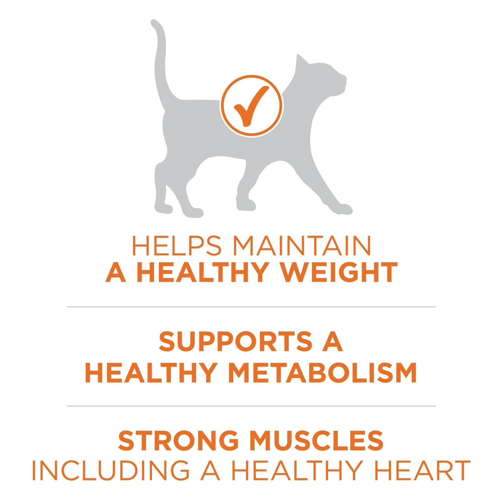 Purina One +Plus Ideal Weight High Protein Dry Cat Food Turkey, 16 lb Bag