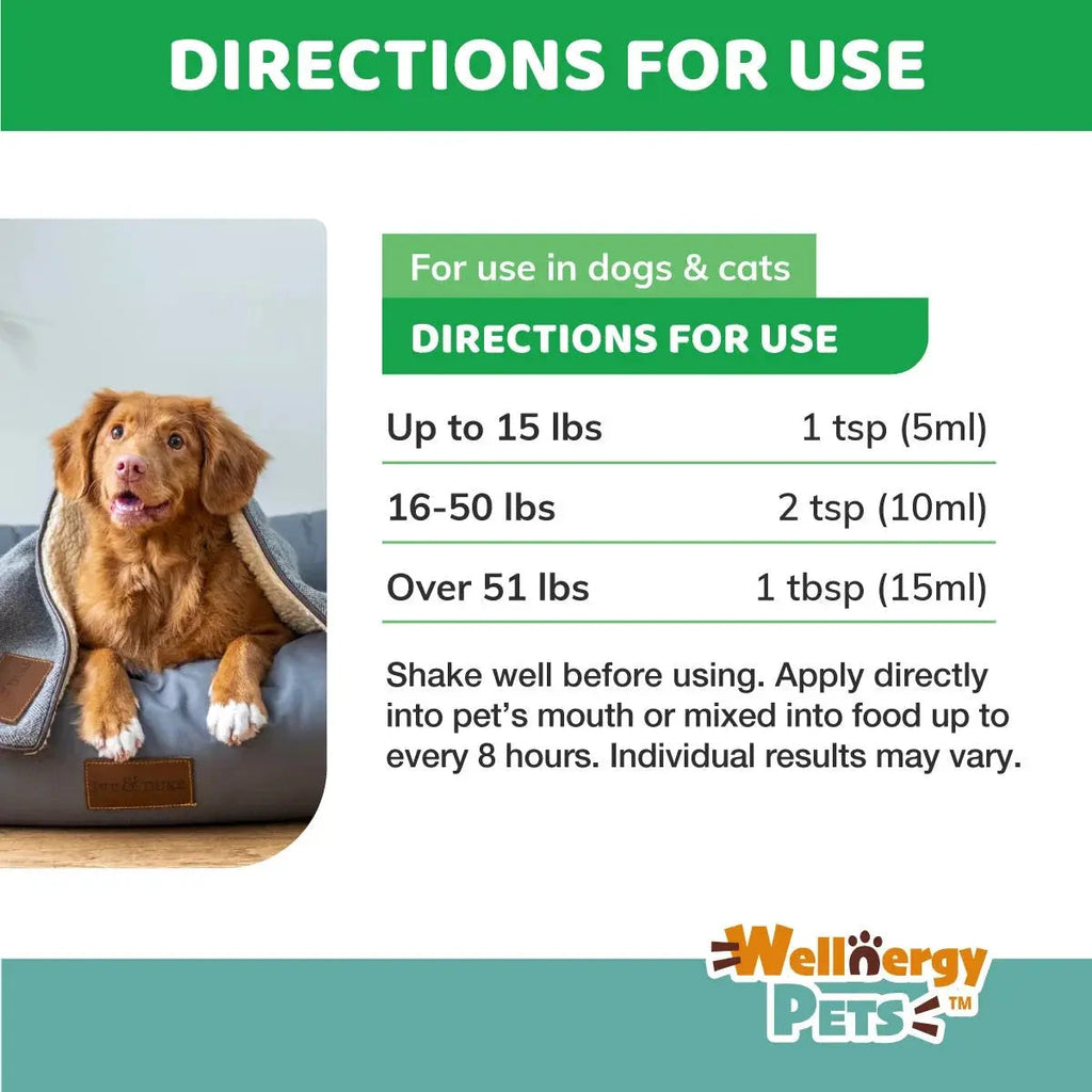 Anti-Diarrhea for Dogs & Cats – 4 oz | Fast Relief for Upset Stomach, Gas & Loose Stool