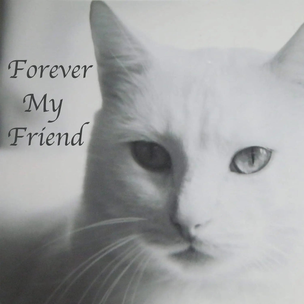 Stainless Steel Pet Memorial Urn for Cats & Small Dogs with Secure Lid Keepsake