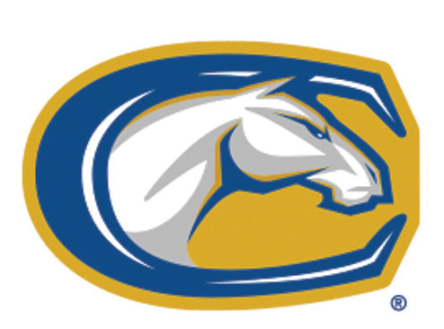 NCAA University of California, Davis, Gunrock the Mustang Knottie® Plush Dog Toy