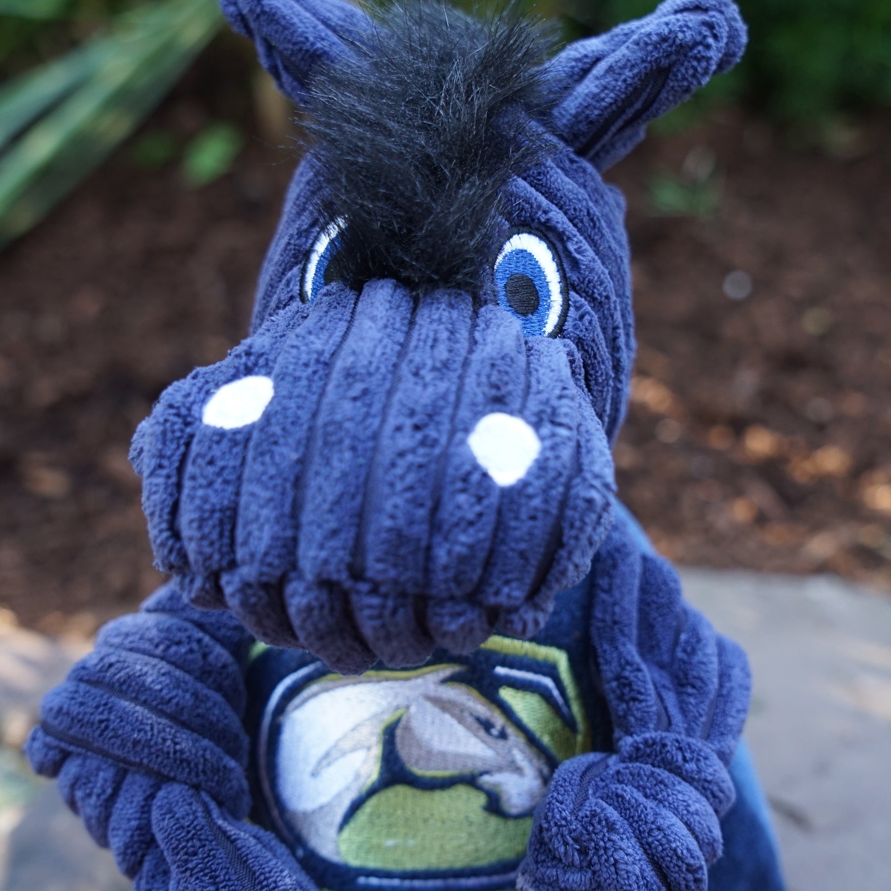 NCAA University of California, Davis, Gunrock the Mustang Knottie® Plush Dog Toy