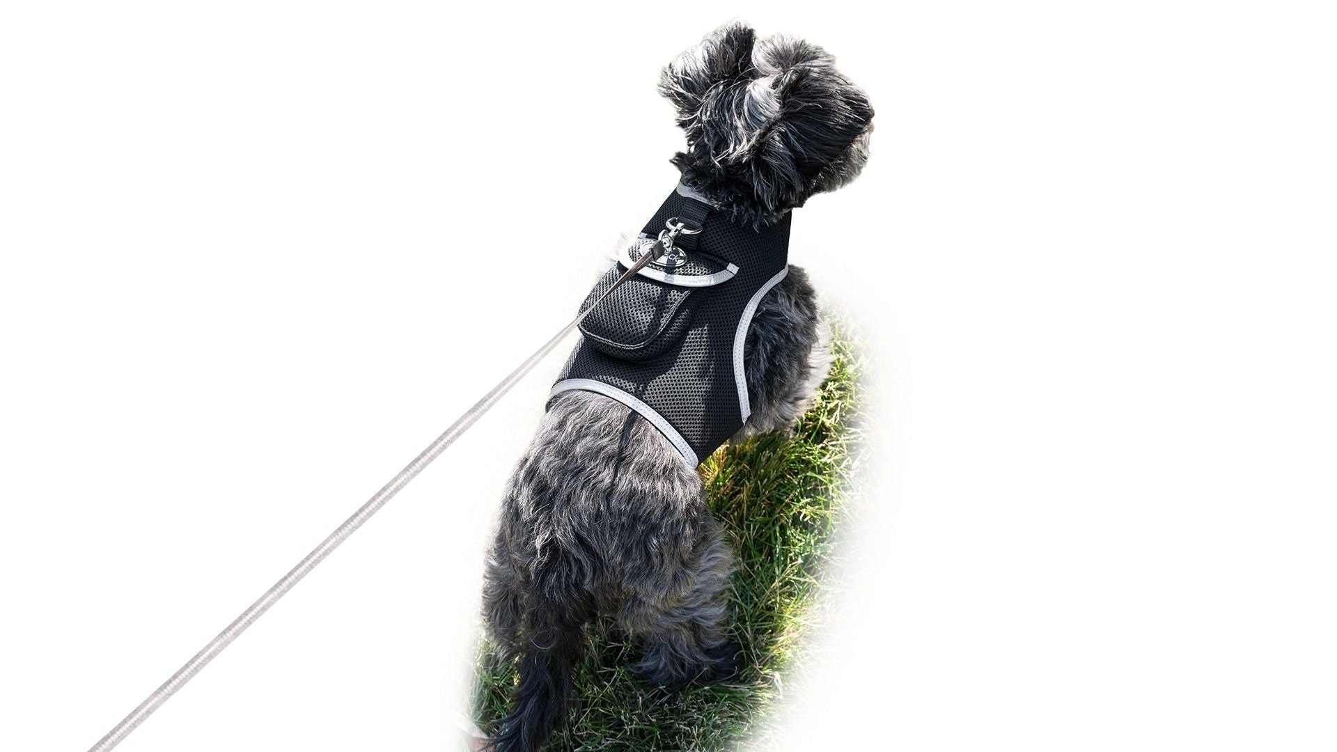 Waterproof Mini Pet Location Finder w/ Pet GPS Tracking Cell Phone App Size:M